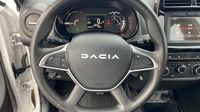 Dacia Spring 65ch Extreme — photo 12