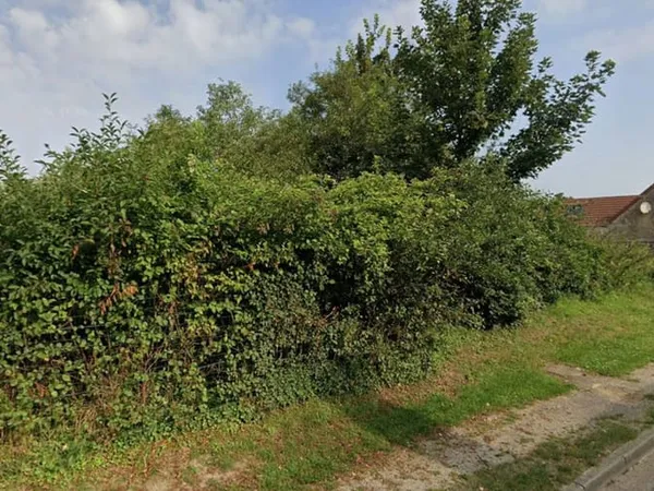 Terrain 790 m²