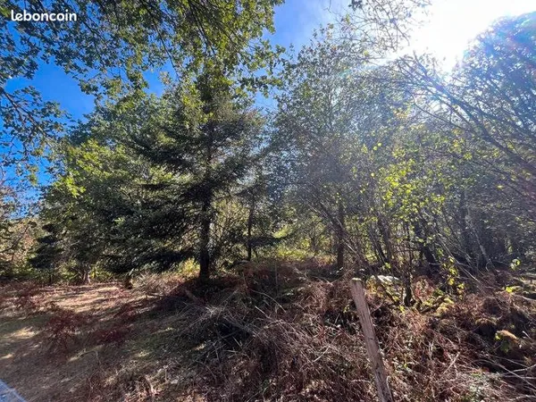 Forêt 9 300 m² Cognac La Foret