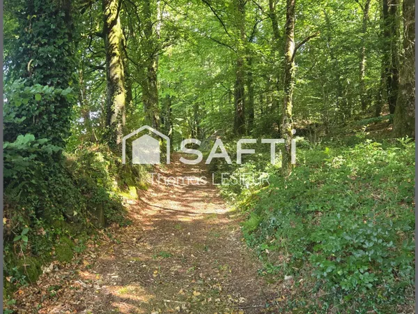 Terrain Vente Tinchebray-Bocage  13400m² 23000€