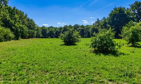 Terrain de loisir de 3 000 m² au calme