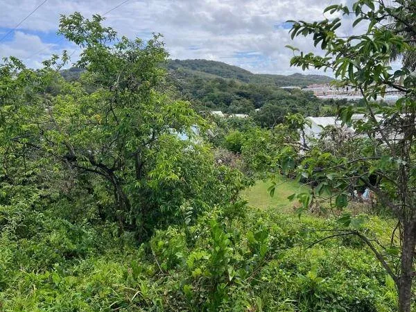 Terrain 983 m²