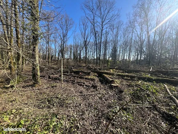 Terrain 650 m² Montlhéry
