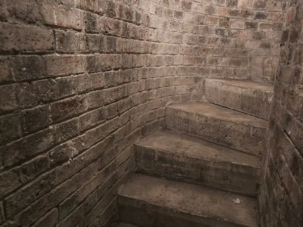 Cave Paris