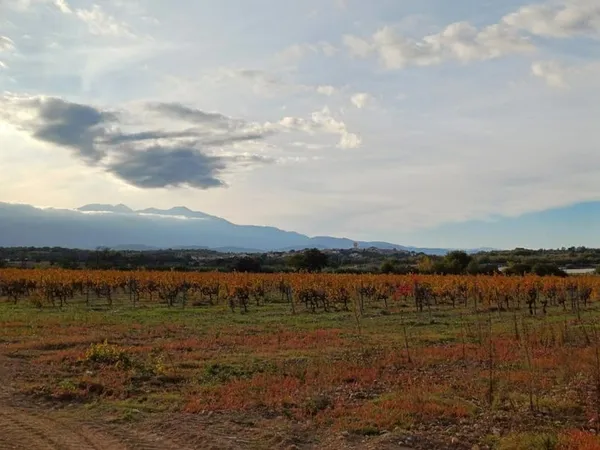 Terrain 579 m²