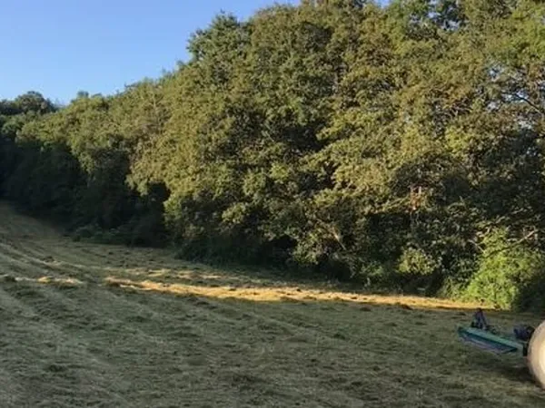 Terrain 5990 m²