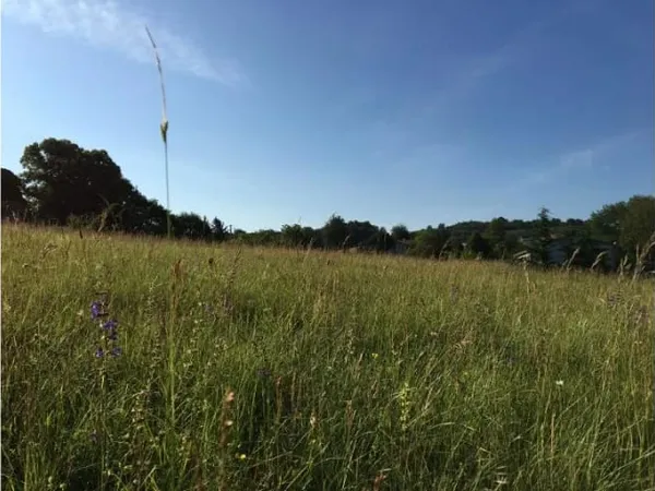 Terrain 1275 m²