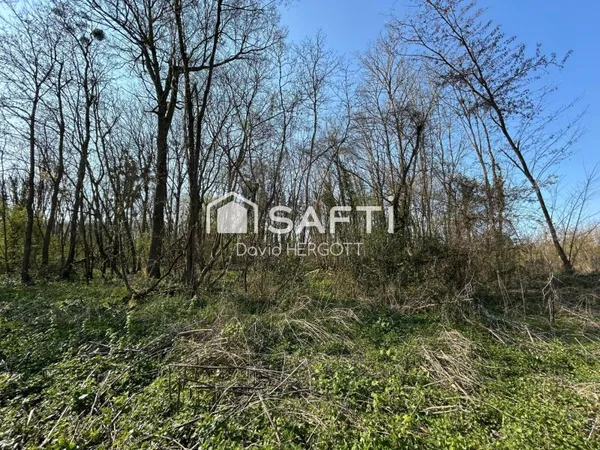 Terrain de loisir boisé - 777 m² - Tavers (45190)