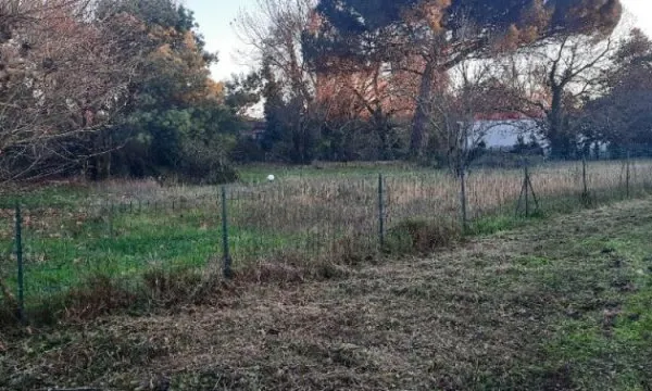 Terrain 785 m²