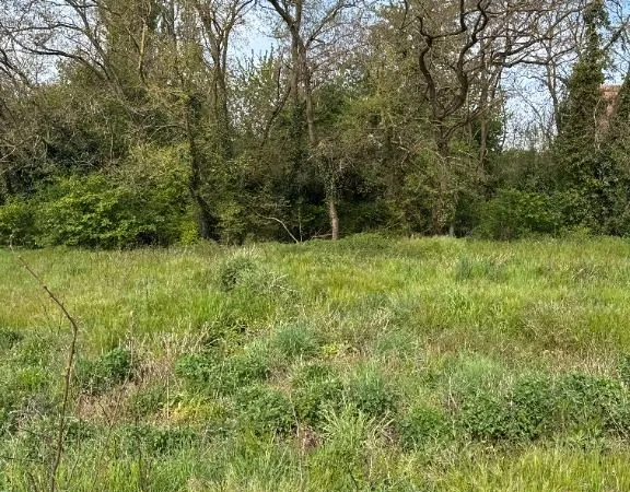 Terrain 400 m² Munchhouse