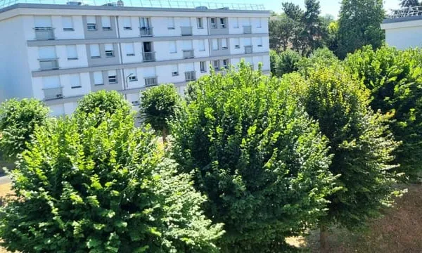Appartement 4 pièces 65 m²
