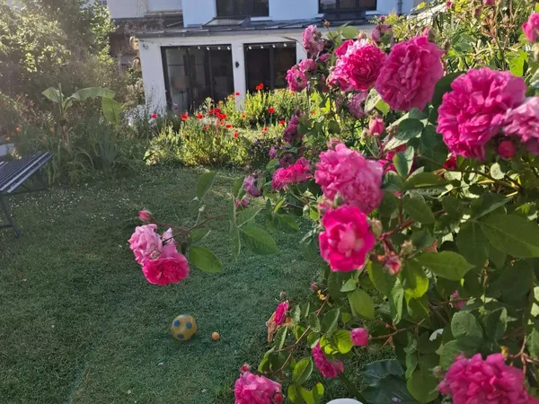 Maison 6 pièces 137 m²