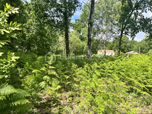 Terrain 1280 m²