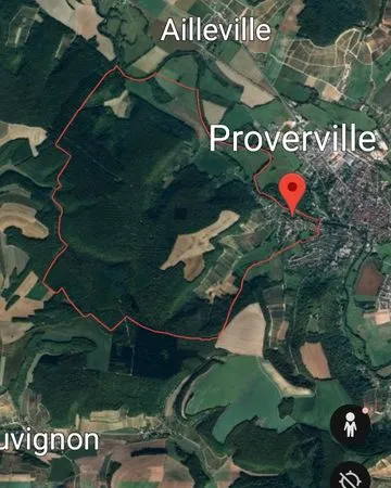 2 parcelles de bois 3000
