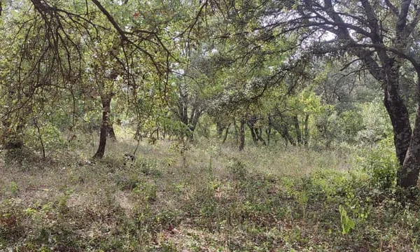 Terrain à bâtir de 1100 m2 au calme absolu