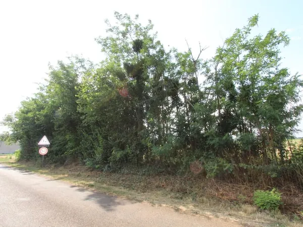 Entre La Charité sur Loire et Garchy, terrain à bâtir 2.570