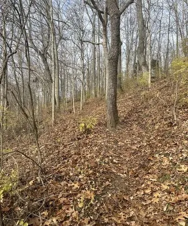 Terrain à bâtir 480 m² Vincelottes bords de l'Yonne