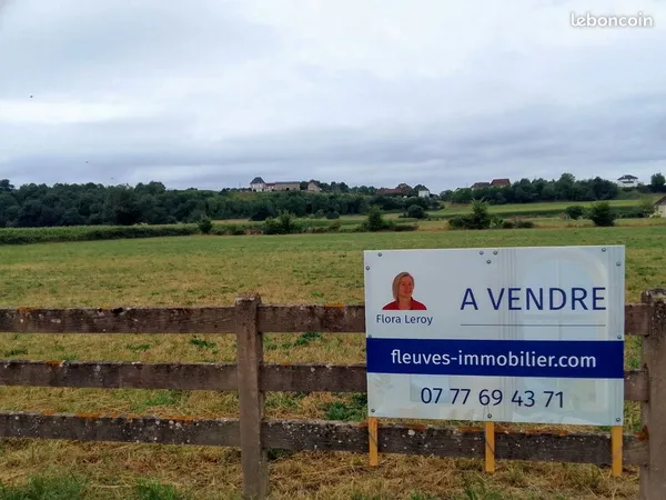 Terrain à bâtir de plus d'1 hectare