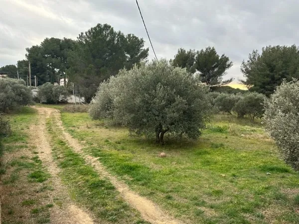 Terrain 543 m²