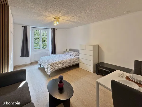 Studio meublé rénové de 29 m² avec cuisine séparée - Cuisine séparée