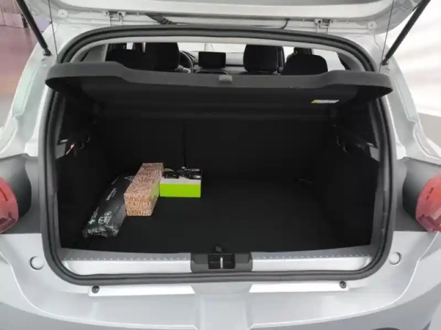 Dacia Sandero eco-g 100 - 22 stepway confort — photo 8