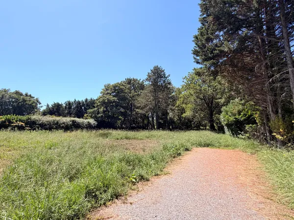 Terrain 11263 m²