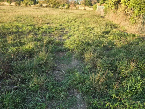Terrain à bâtir Vente Aigrefeuille-sur-Maine 100000€