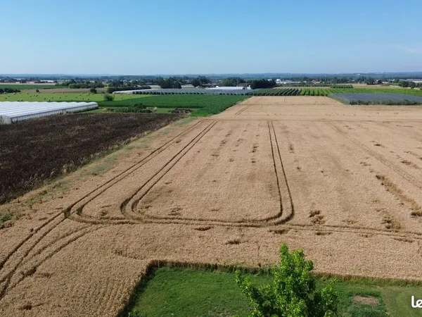 Terres agricoles