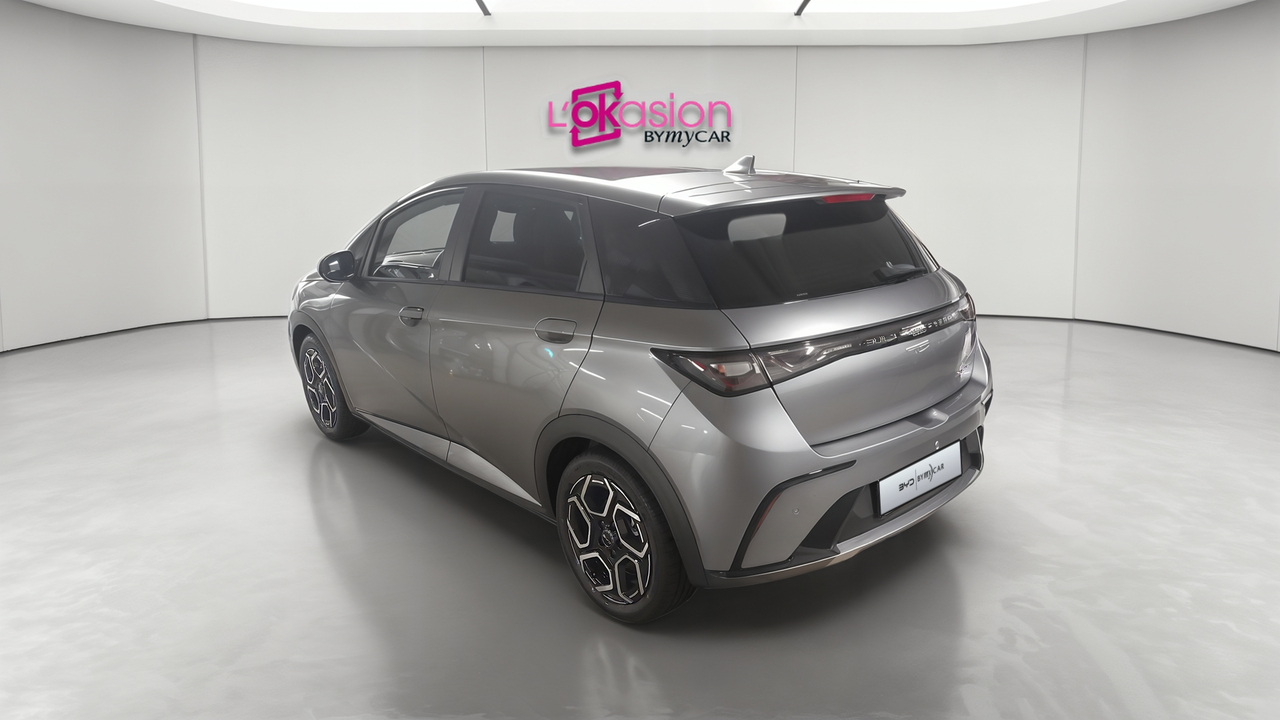 BYD Dolphin 60,4 kWh 204 ch — photo 3