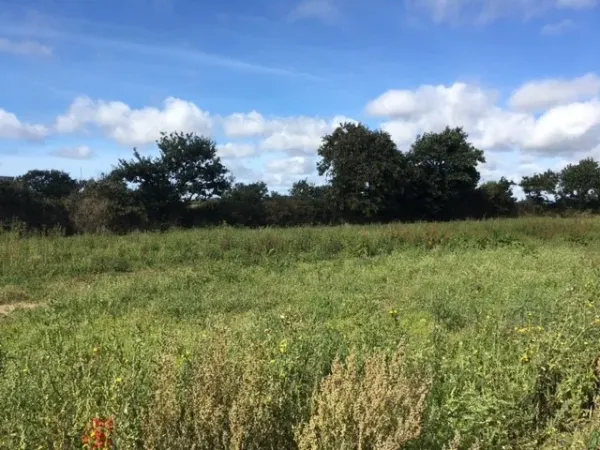 Terrain 721 m²