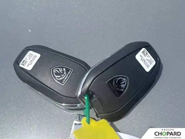 Peugeot 208 hybrid 110 e-dcs6 — photo 21