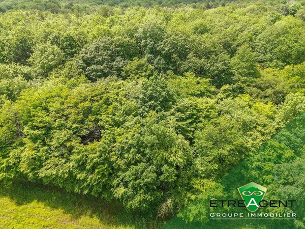 Terrain 50125 m²