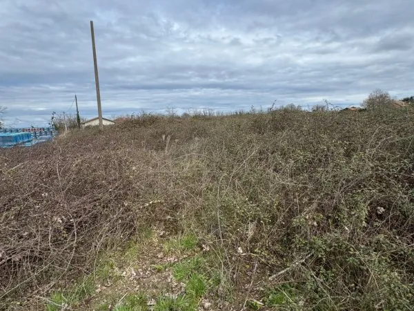 Terrain en individuel 3500 m²