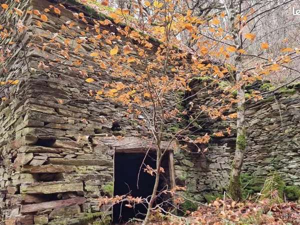 Forêt et belle grange 11,5 hectares