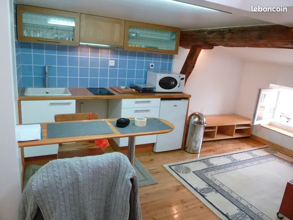 Studio 27 m2 avec mezzanine dans immeuble Canut
