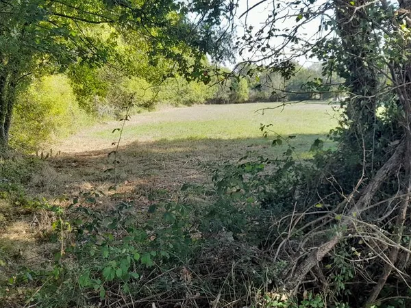 Terrain de loisirs