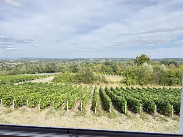 VUE PANORAMIQUE - SANCERRE