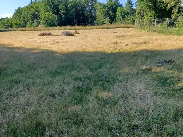Terrain viabilisé
