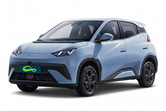 BYD DOLPHIN SURF
