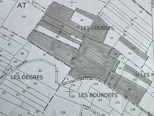 Terrain de bois