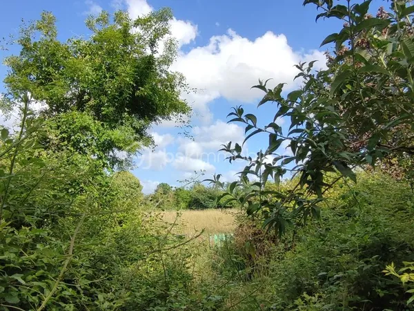 Terrain 5928 m²