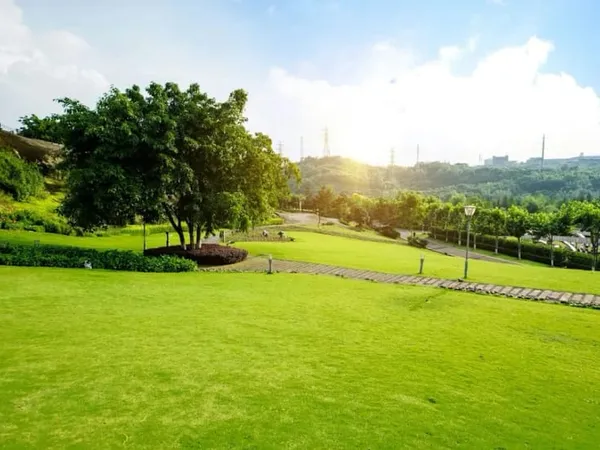 Terrain 740 m²