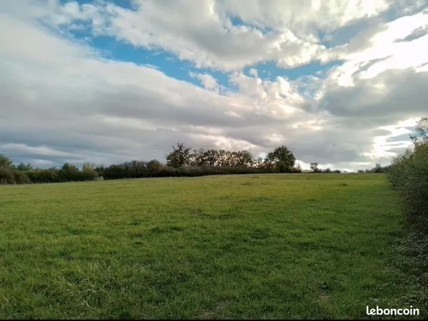 Location terrain