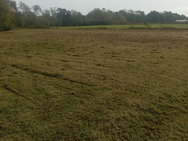 Terrain Agricole ou autre