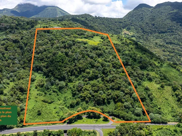 Magnifique terrain pour un projet d'envergure!