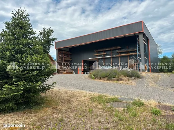 Local 475 m²