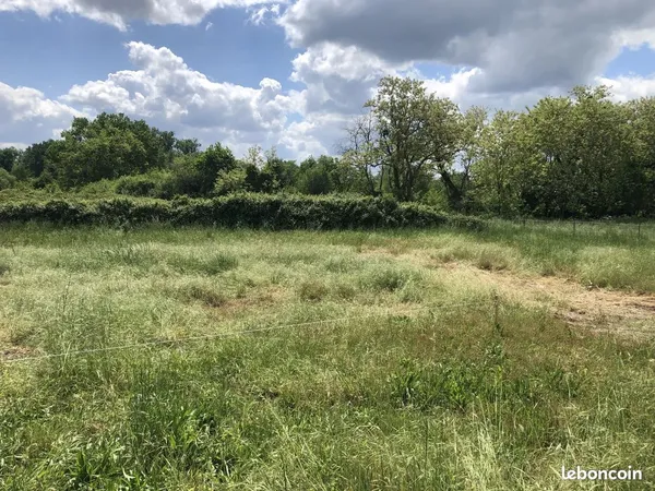 Terrain 817 m² Cadaujac