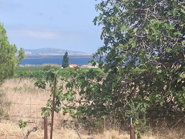 Vente terrain 2220m2 à marseillan agricole jardin ou loisir vue sur étang de thau a aménager entière