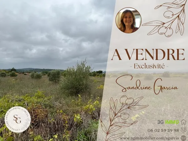 Vente terrain agricole 12476m² avec permis de construire accepte a clermont l herault 34800