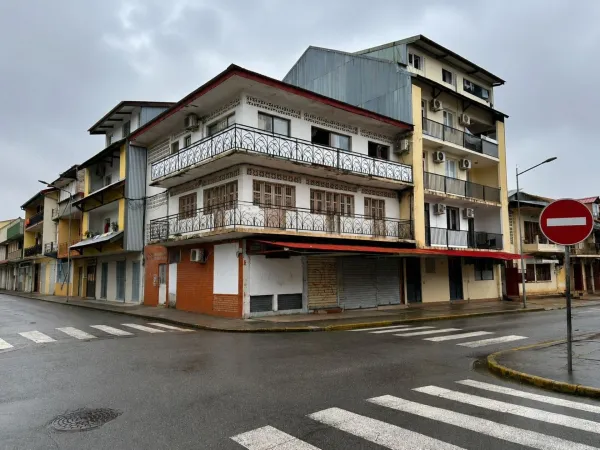 Immeuble de rapport 10 pièces 250 m²